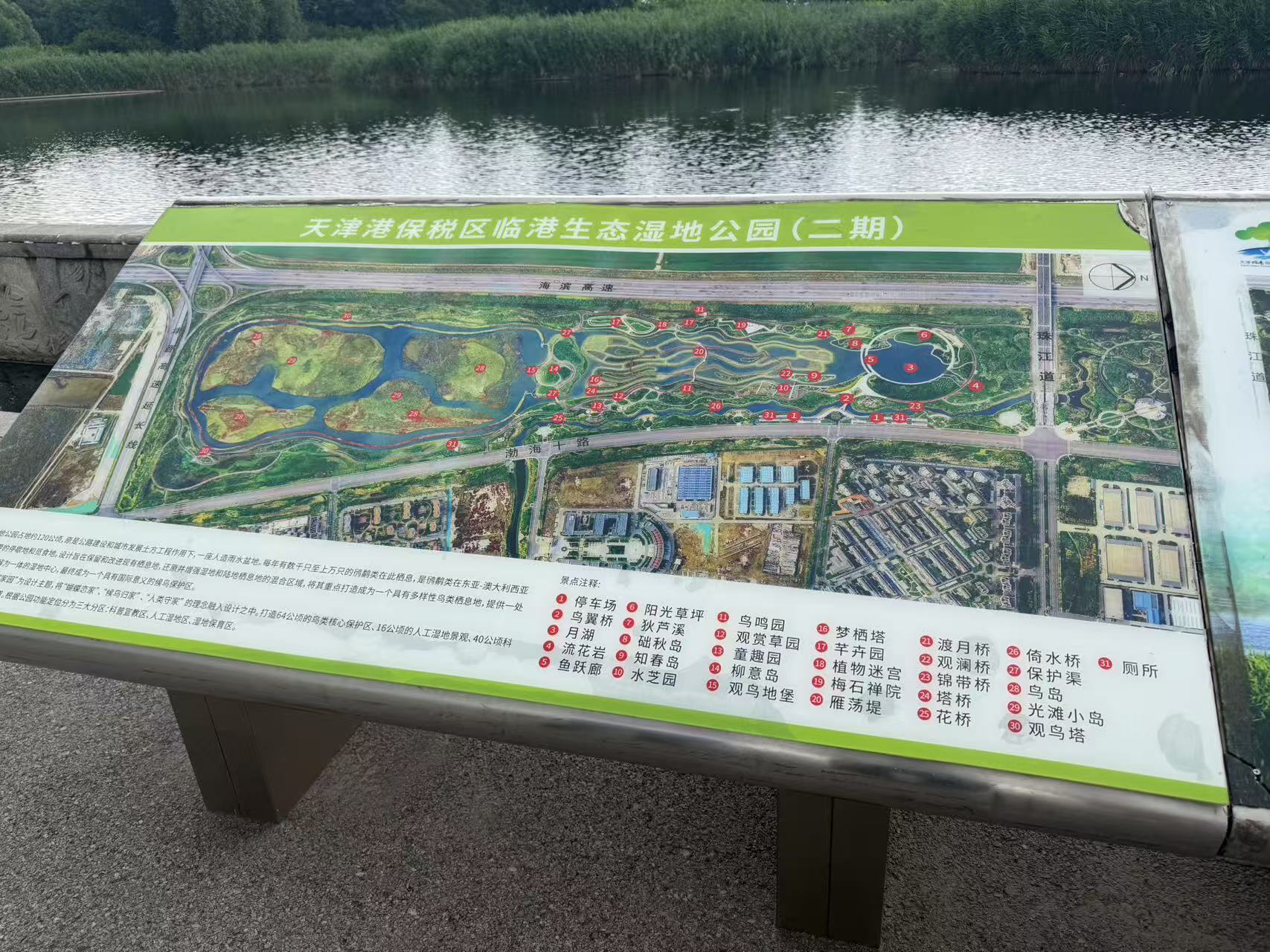 小泥人智能导览与手绘地图赋能天津生态湿地公园，打造沉浸式智慧旅游新体验